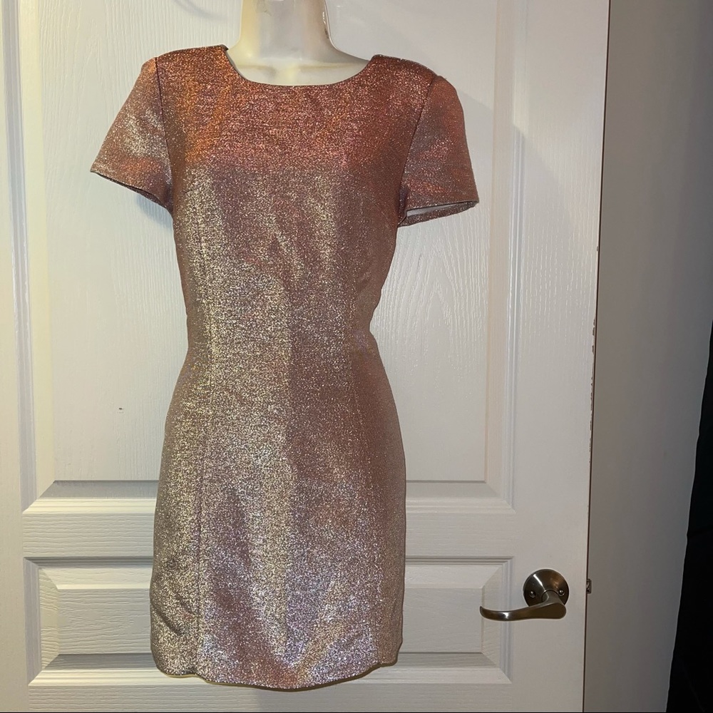 Express Ombre Glitter Alter Back Dress Size 8